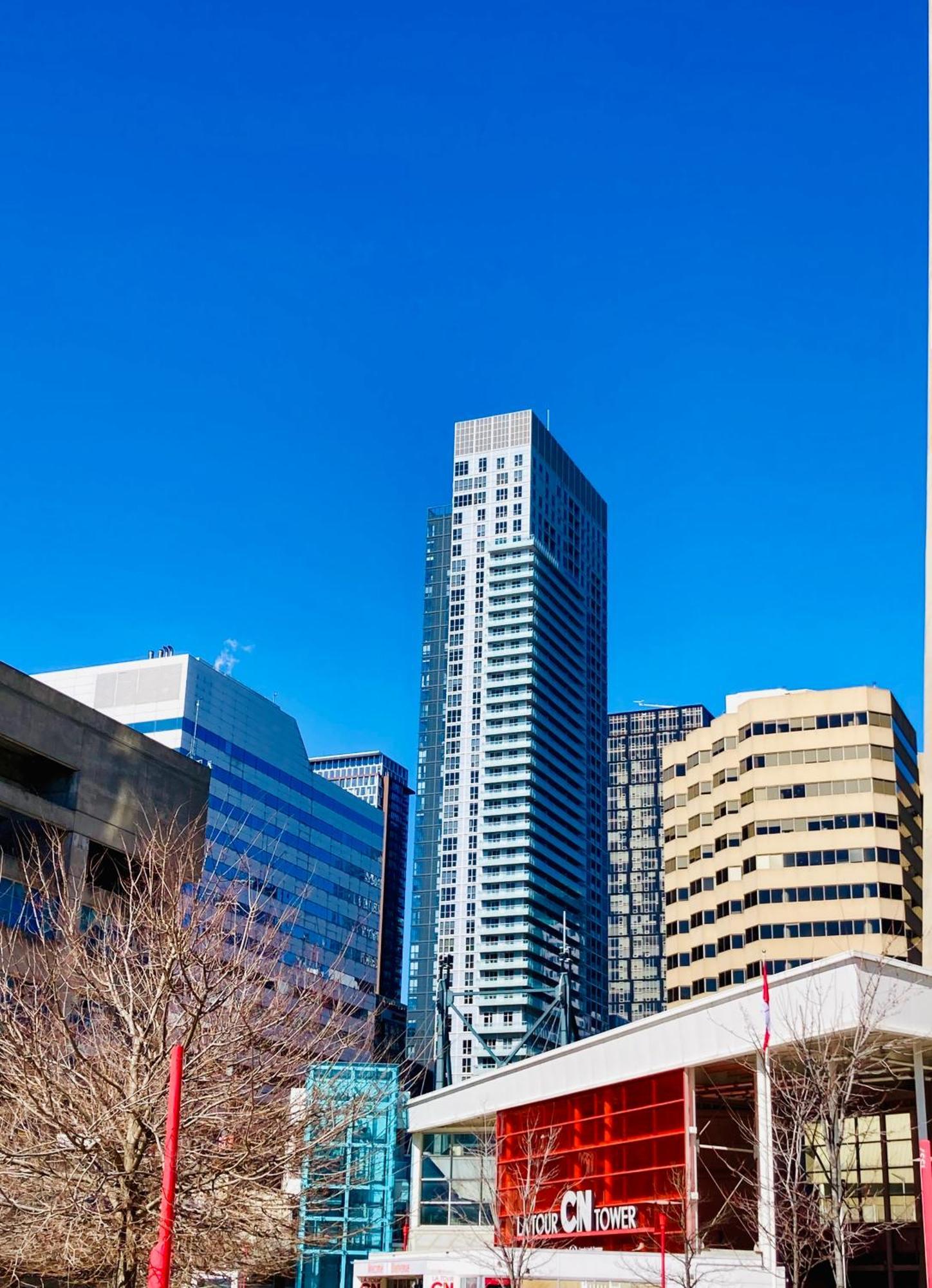 Central Toronto Suite - Free Parking, City Views, Near Cn Tower Exterior foto